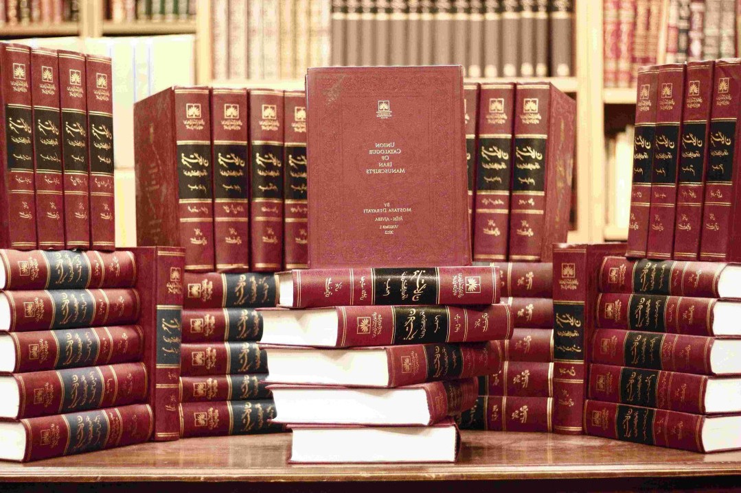 Göçmenlik danışmanlığı